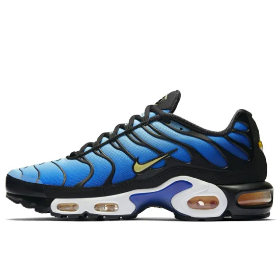 Nike Air Max Plus OG Hyper Blue 2018