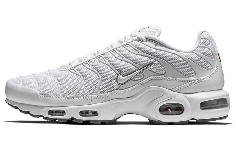 Discover the Best Nike TN Air Max Styles for 2024