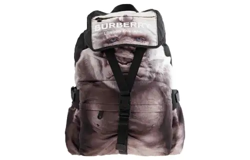 Burberry Synthetic Leather Backpack Unisex Brown