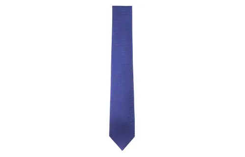 HERMES Faconnee Silk Ties Men's