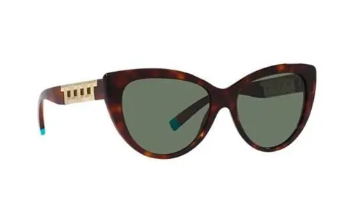 TIFFANY & CO. Acetate Cat Eye Sunglasses Women's Tortoiseshell