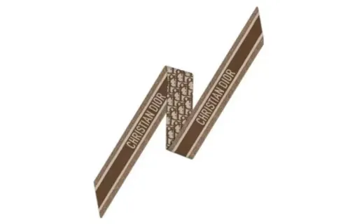 DIOR Scarves Unisex Brown