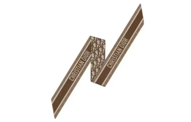 DIOR Scarves Unisex Brown