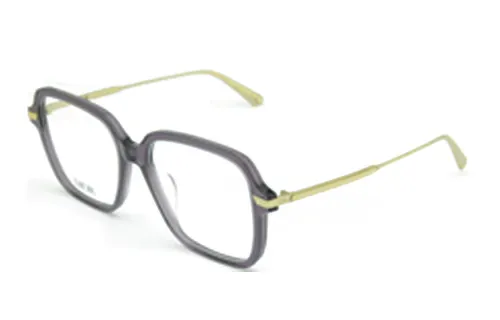 DIOR Alloy Irregular Shape Eyeglass Frames Unisex Gray