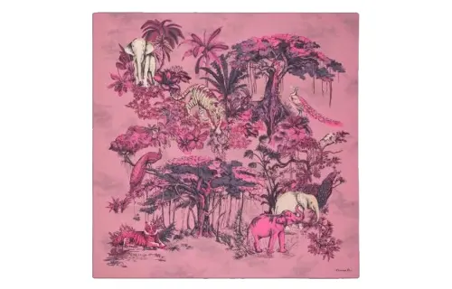 DIOR Scarves Women's Pink