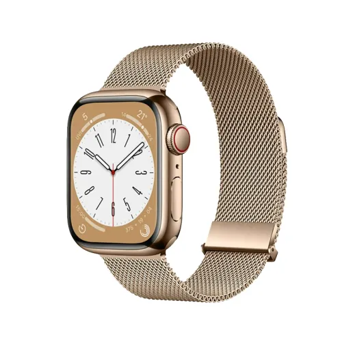 Biaodaige Strap Apple Compatibility Stainless Steel Material