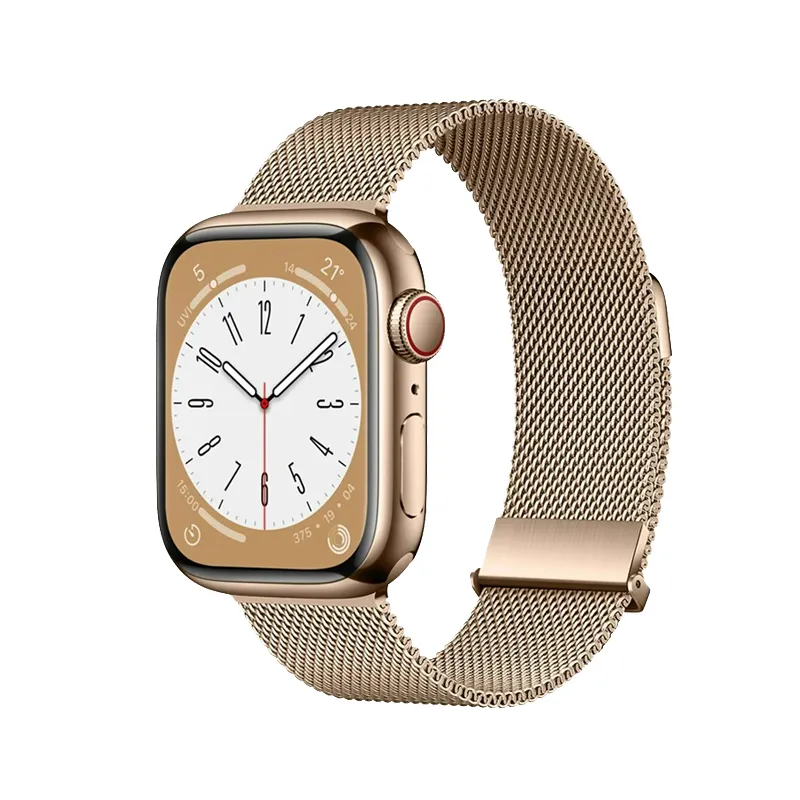 Biaodaige Strap Apple Compatibility Stainless Steel Material