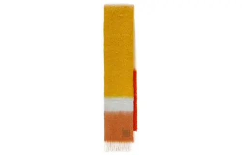 LOEWE Knit Scarves Women's Multicolor