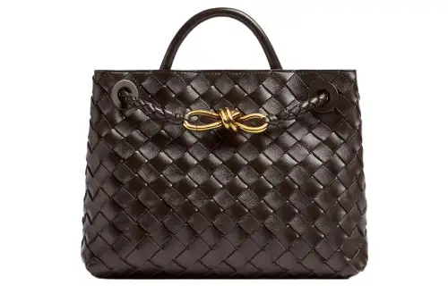Bottega Veneta Andiamo Sheepskin Shoulder Bag, Crossbody Bag, Handbag Small Women's Chocolate Brown