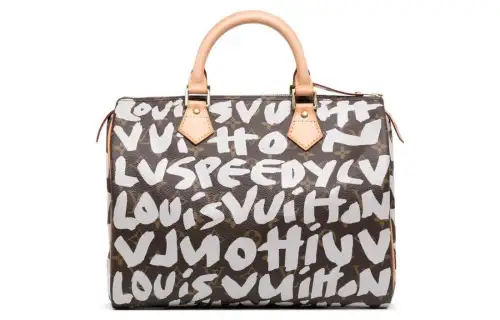 LOUIS VUITTON X Stephen Sprouse 2001 Speedy 30 Handbag