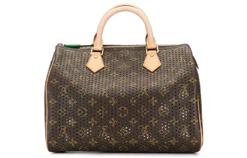 LOUIS VUITTON Speedy Canvas Leather Pillow Bag Handbag Women's Brown