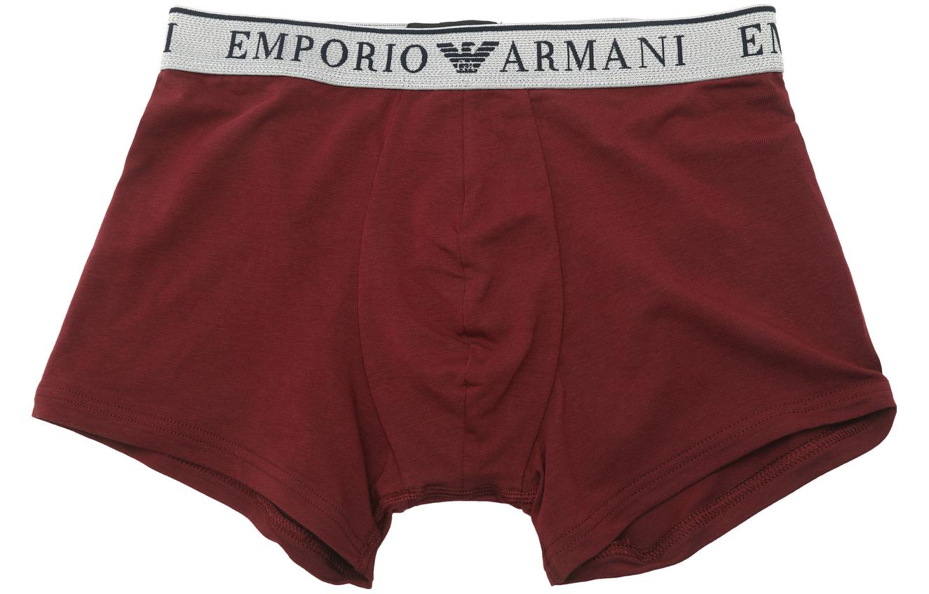 EMPORIO ARMANI FW23 Logo  2