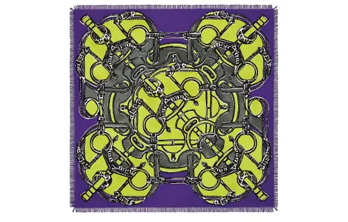 HERMES Patterned Print Scarves Women's Purple