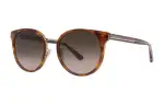 GUCCI Cat Eye Oval Sunglasses Women's Tortoiseshell