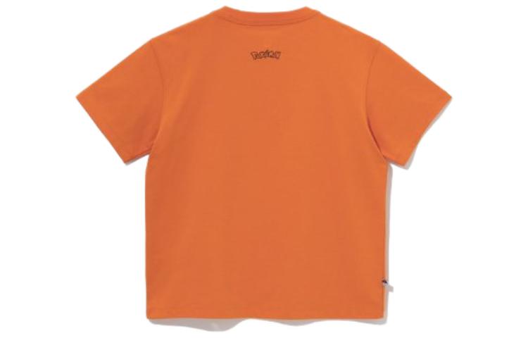 Photo 21172324