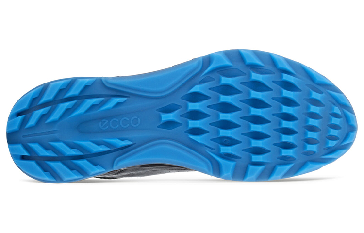 ecco Biom C4