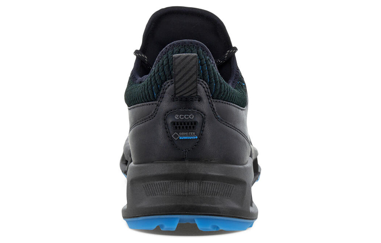 ecco Biom C4