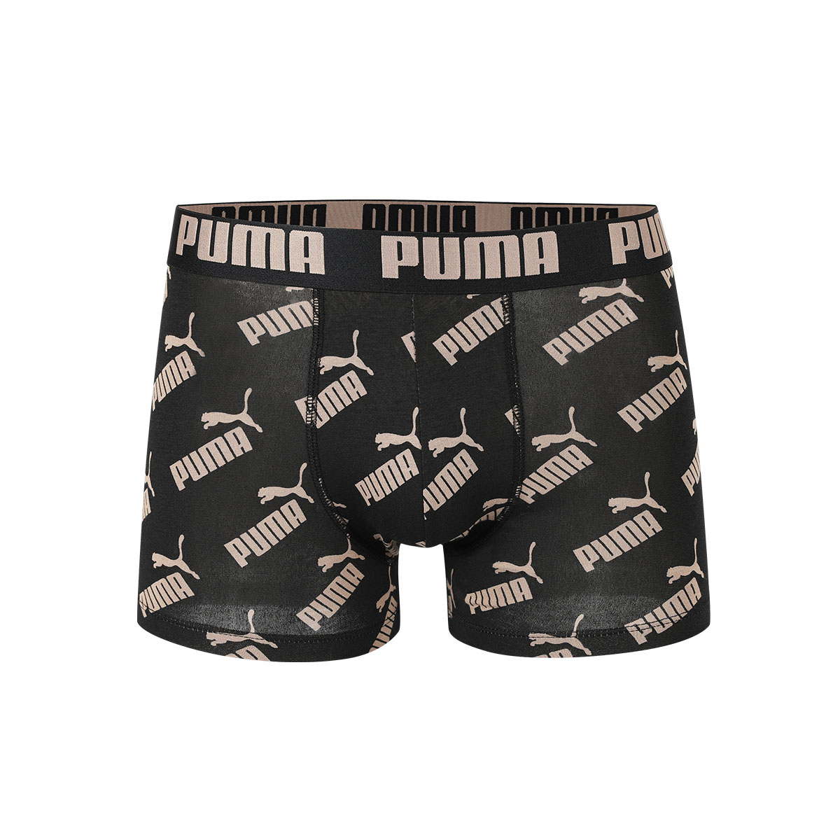 PUMA   2