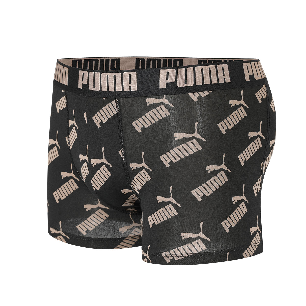 PUMA   2