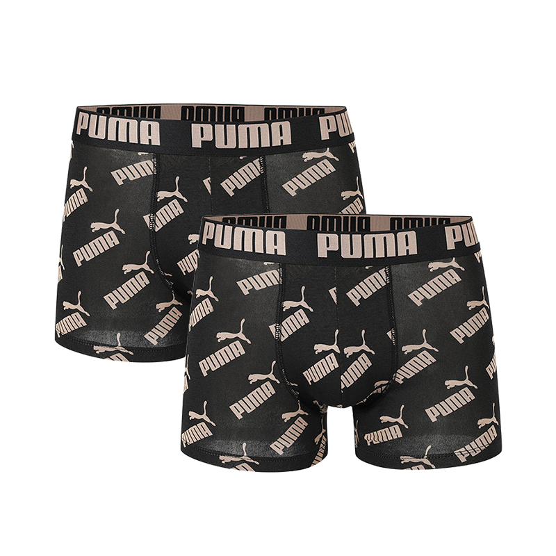 PUMA   2