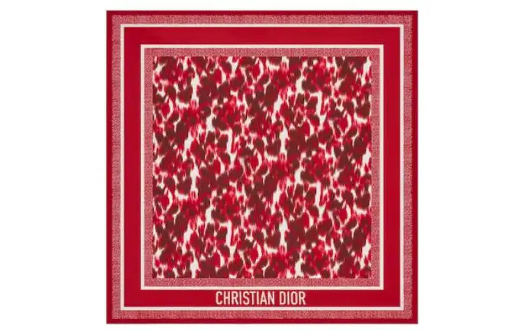 DIOR Scarves Women's