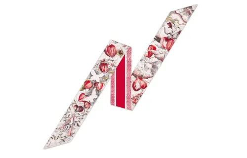 DIOR Scarves Women's Multicolor