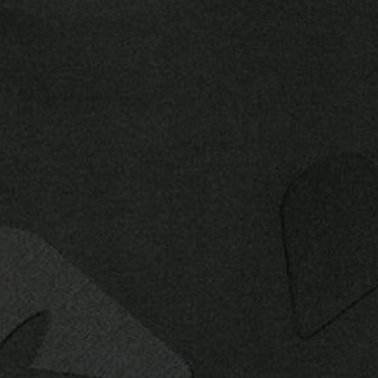 Photo 21949616