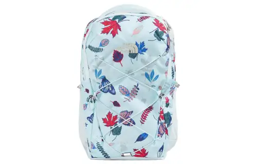 THE NORTH FACE 22L Backpack Outdoor Bag Recycled Polyester Blue Women's