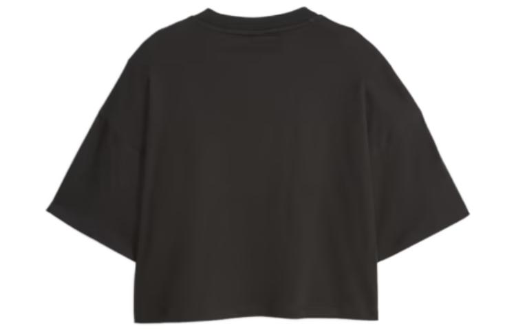 Photo 22237268