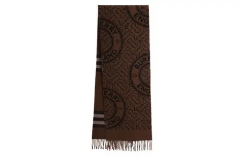 Burberry Knit Scarves Women's Brown