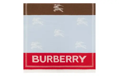 Burberry Knit Scarves Men's