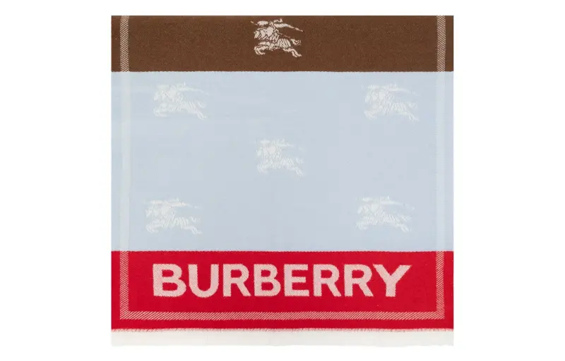 Burberry Knit Scarves Men's