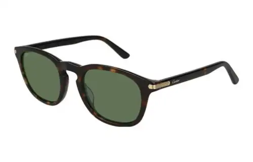 Cartier Rectangular Frame Sunglasses