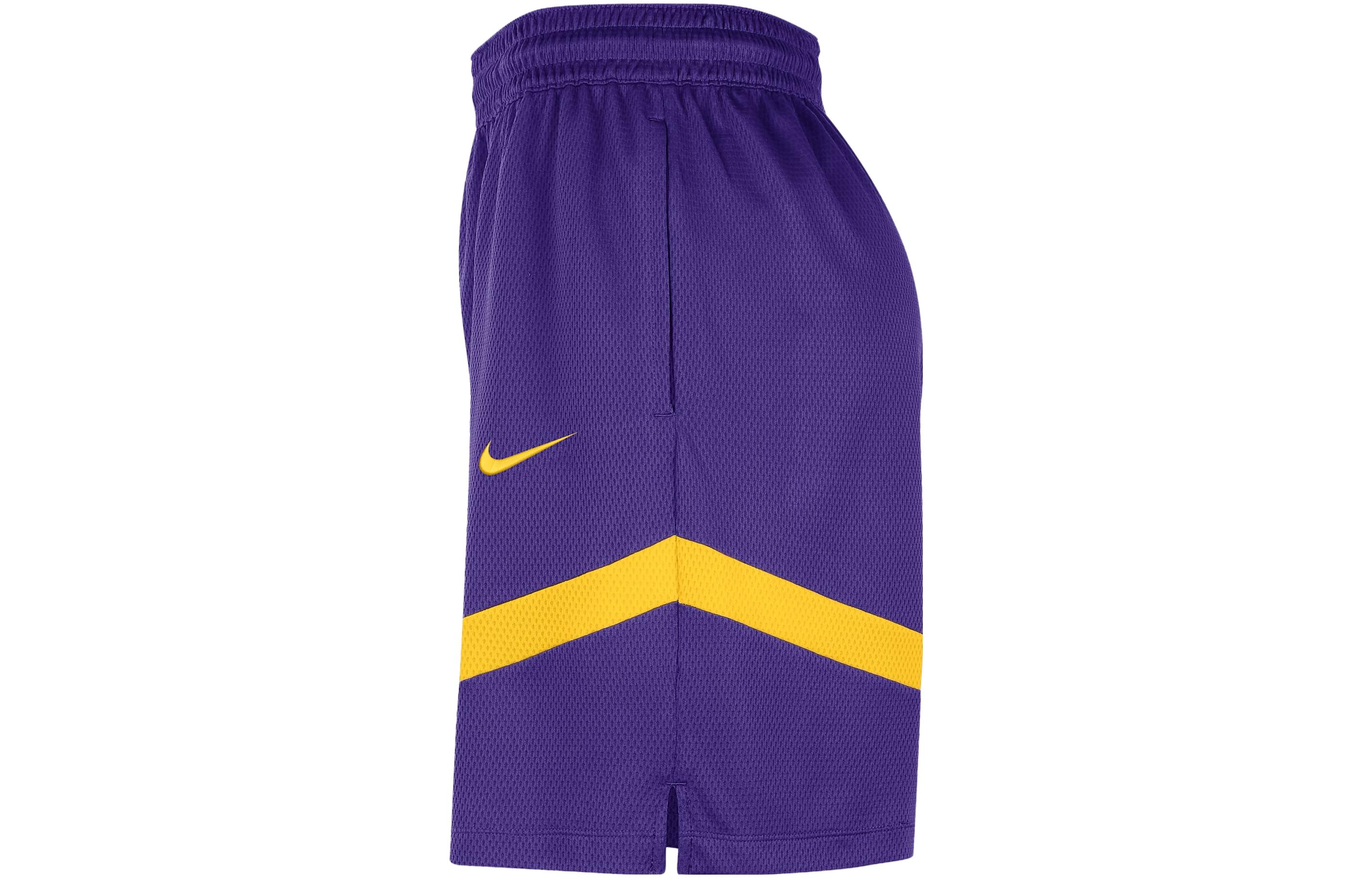 Nike Basketball Shorts Men’s Dark Purple