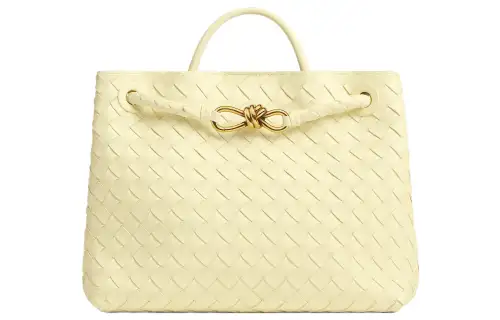 Bottega Veneta Andiamo Sheepskin Shoulder Bag, Crossbody Bag, Handbag Medium Women's Light Yellow