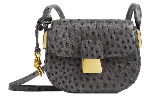 Bottega Veneta Desiree Goat Leather Shoulder Bag, Crossbody Bag Mini Women's Pebble Gray