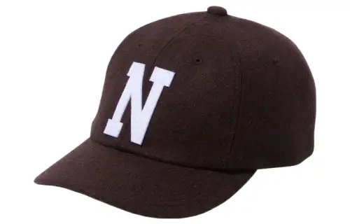 THE NORTH FACE Baseball Caps Unisex Umber