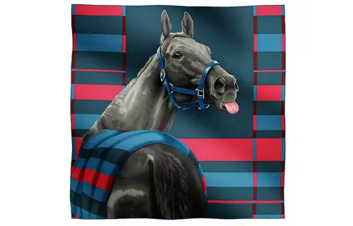 HERMES Knit Scarves Men's Marine Blue