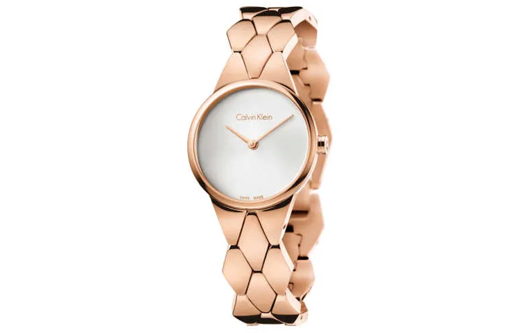 CK/Calvin Klein Wrist Watches Quartz Movement Metal Strap 28mm Silver Dial Women's Watch 30m Water Resistant K6E23646