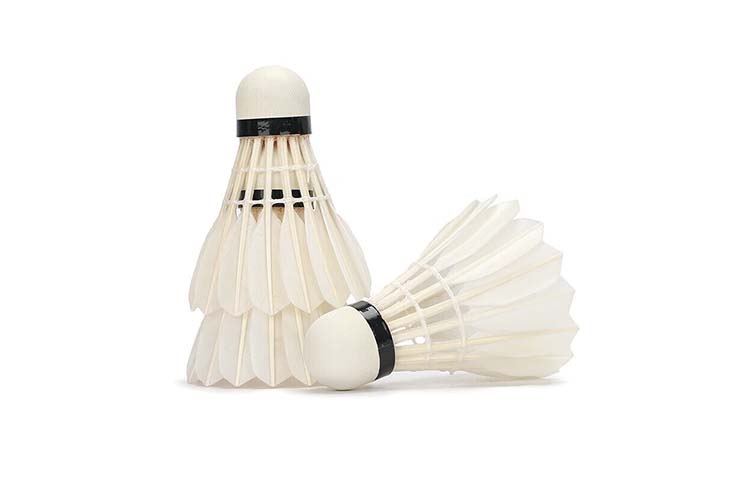 Li Ning Shuttlecocks