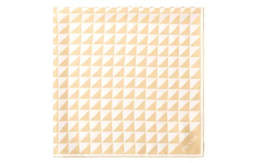 【Previous Season】printed silk twill scarf