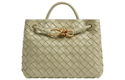 Bottega Veneta Andiamo Small Shoulder Bag