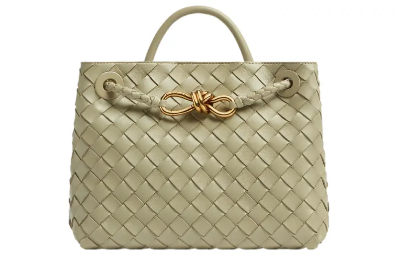 Bottega Veneta Andiamo Small Shoulder Bag