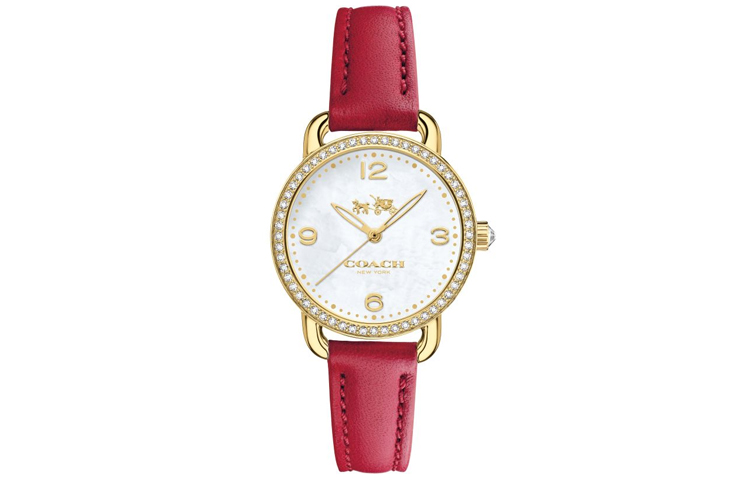 Женские часы COACH COACH Delancey 28mm 30 (белая)