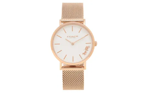 COACH Ruby Wrist Watches Quartz Movement Stainless Steel Strap 32mm White Dial Women's Watch 30m Water Resistant