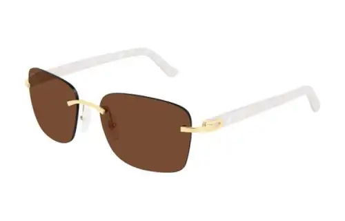 CARTIER Acetate Rectangular Sunglasses Unisex Gold