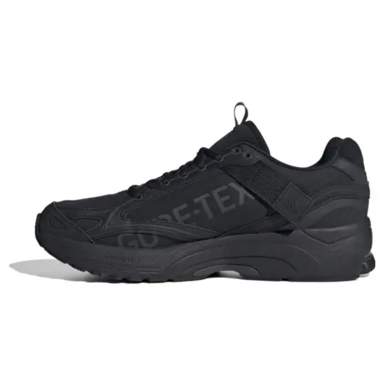 Adidas Spiritain 2000 GORE-TEX 'Black Carbon'