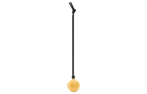 LOEWE Charms Women's