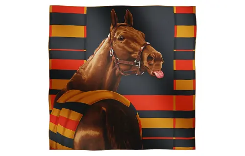 HERMES Knit Scarves Unisex Multicolor