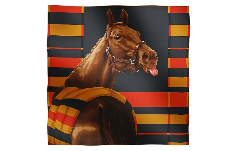 HERMES Knit Scarves Unisex Multicolor